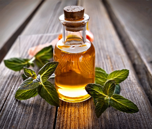 Spa Ange （スパアンジュ）渋谷ルーム