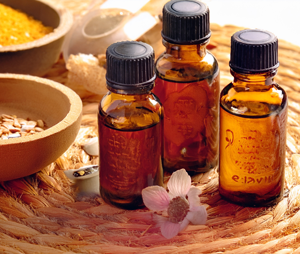 コマダム倶楽部　六本木店