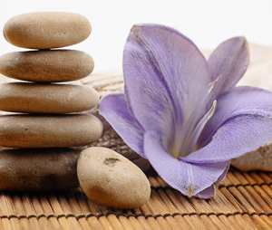 養心庵（ようしんあん）