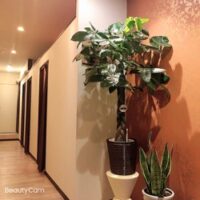 HEALING（ヒーリング）