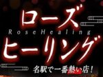 　セラピスト