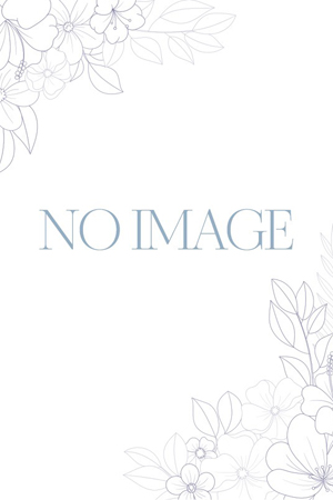 NO　IMAGE