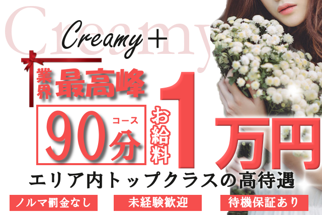 クリーミープラス エステアイ