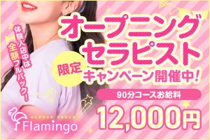 【Flamingo様】640x427